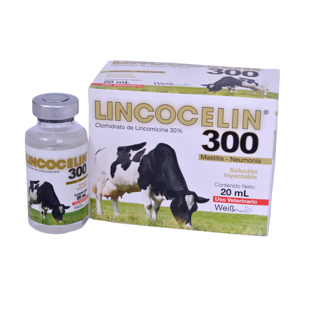 Lincocelin 300
